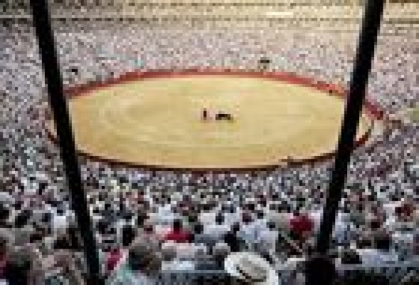 Gobernación crea los Premios Taurinos de la Comunitat Valenciana