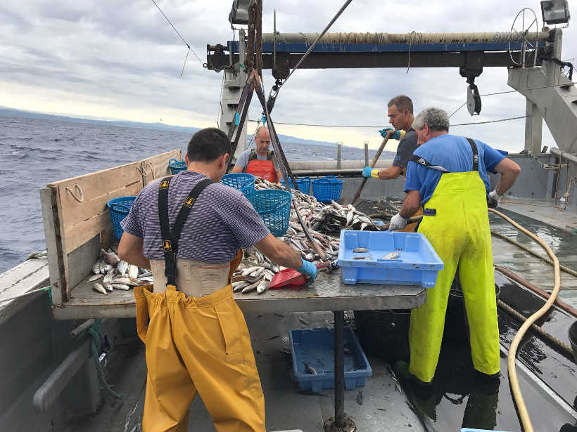 El cambio de Gobierno frena las medidas para regenerar los caladeros castellonenses de pesca