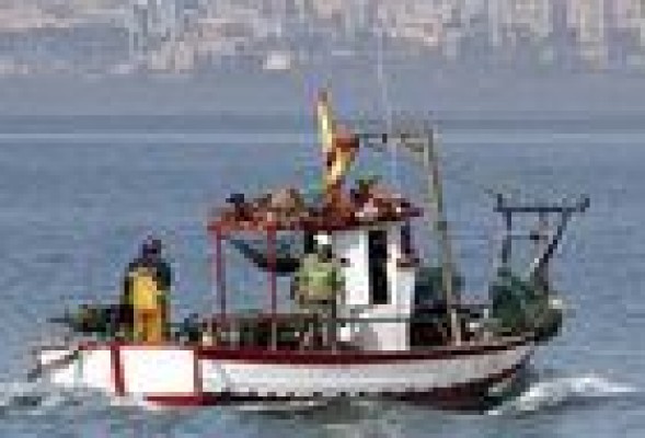 El Consell otorga 20 millones de ayudas a los pescadores por las vedas temporales