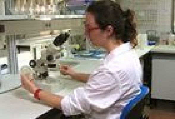 Glen Biotech, la 'consulta del médico' para el sector agrícola