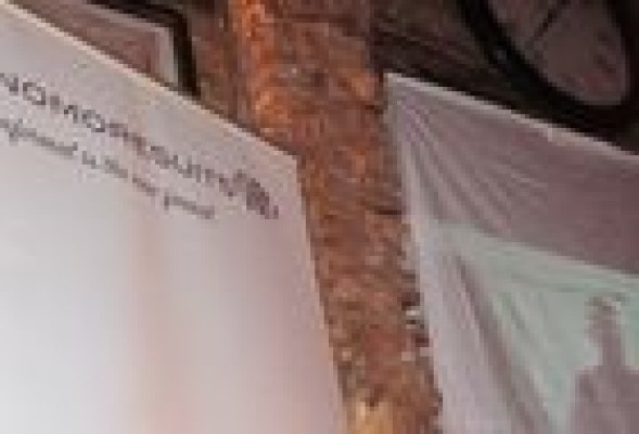 NoMoreSuitsVite muestra pasión emprendedora con Groopify y Singularu