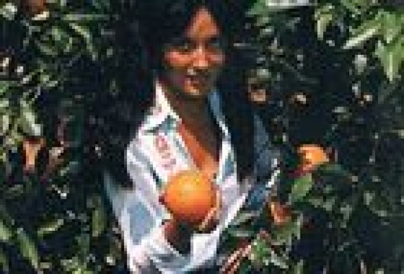 Valencia ya no es ciudad para naranjas 
