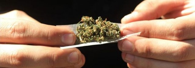 Desmantelan un grupo criminal en Valencia, con 2 detenidos y 400 plantas intervenidas