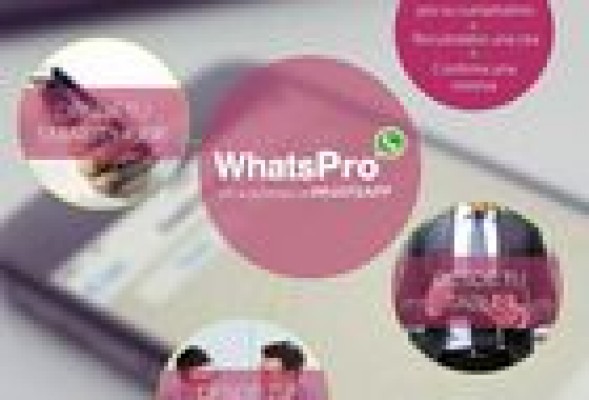 WhatsPro, la plataforma que fusiona la gestión profesional de redes sociales, web, mail y WhatsApp