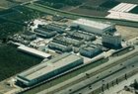 Miva Adhesivos y Pinturas presenta ofertas por bienes del grupo Naber