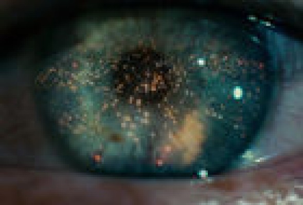 20 razones por las que hay que volver a ver 'Blade Runner' en cine