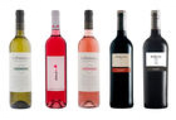 Cinco vinos de bodegas Sierra Norte y Dominio de la Vega escogidos como los mejores de Utiel Requena 