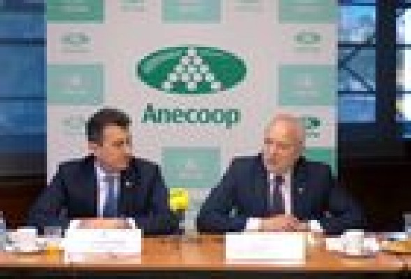 Las cooperativas Anecoop facturan 546 millones, su segunda mejor campaña 