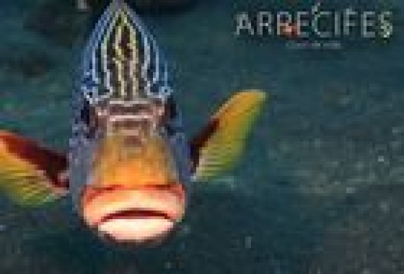 Dos valencianos bucean para dar vida a la primera película submarina española