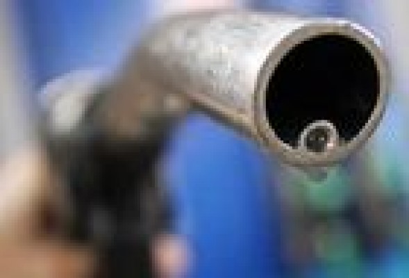 <em>Precio de la gasolina: <br />