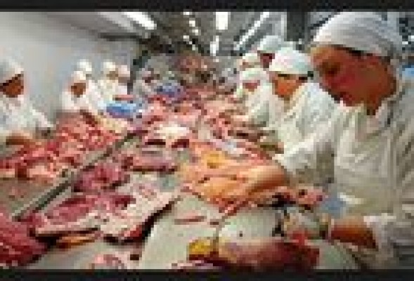 <em>Así viene <br />la recuperación del gran consumo en España</em>