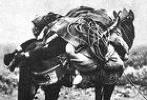 Forajidos de leyenda: La extraordinaria historia de los hermanos Seguí 