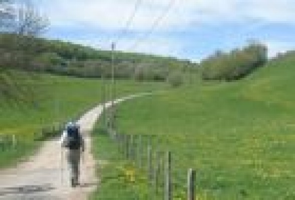 <em>Aprendiendo economía y vida en el Camino</em>