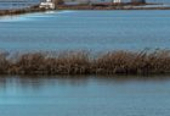 L'Albufera: Entre el agua, el barro y la contaminación