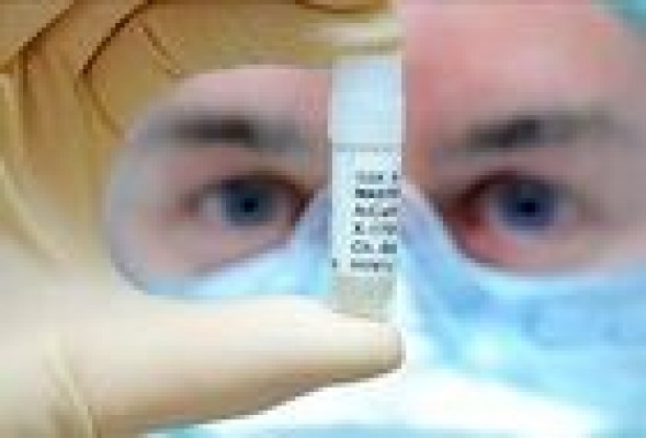 Zeltia factura un 2,2% más, pero reduce su beneficio neto un 61%