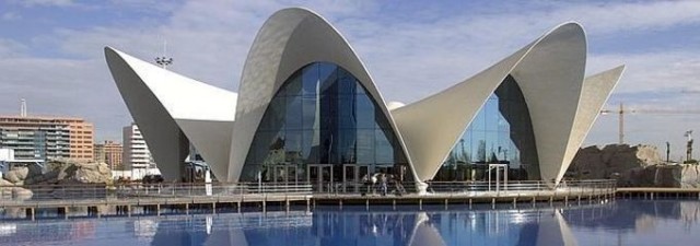 Avanqua invertirá 25 millones en el Oceanogràfic y el Ágora e incrementará la plantilla un 15%
