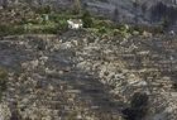 Controlado el incendio forestal de la Vall d'Ebo 