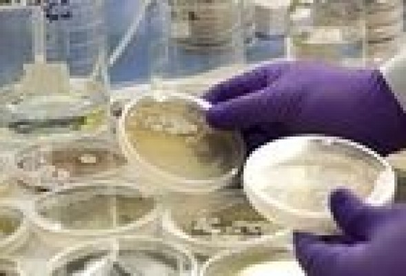 Zeltia y su filial PharmaMar aprueban la operación de fusión inversa