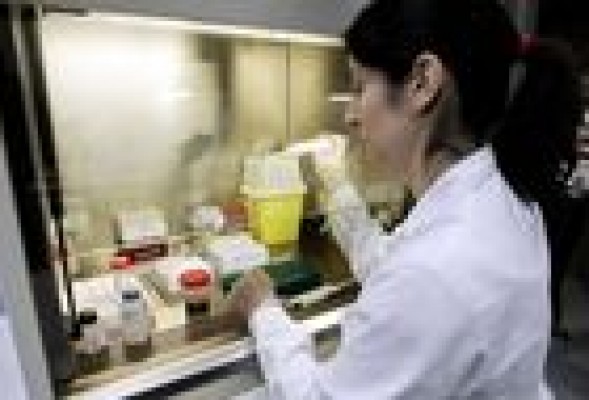 Estas son las profesiones mejor valoradas por los valencianos