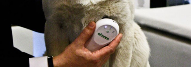 eKuore entra en el mercado veterinario francés