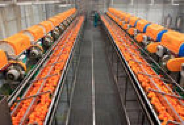 Zuvamesa reduce en 3 millones las pérdidas, que arrastra desde 2008