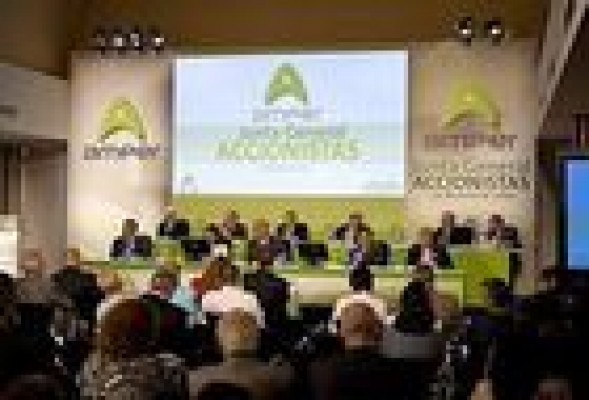 Era de esperar: Amper se desploma un 75% ante el aluvión de papel en bolsa