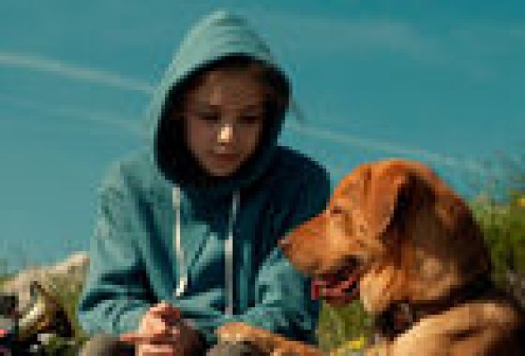 'White God': Los perros contra los hombres
