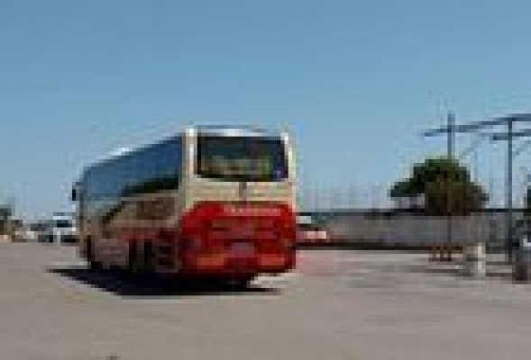 El nuevo Consell paralizará la adjudicación del transporte escolar por 328 millones