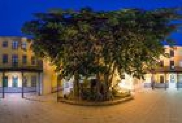 Óscar Torrijos abrirá un nuevo restaurante en el Centre Cultural la Beneficència