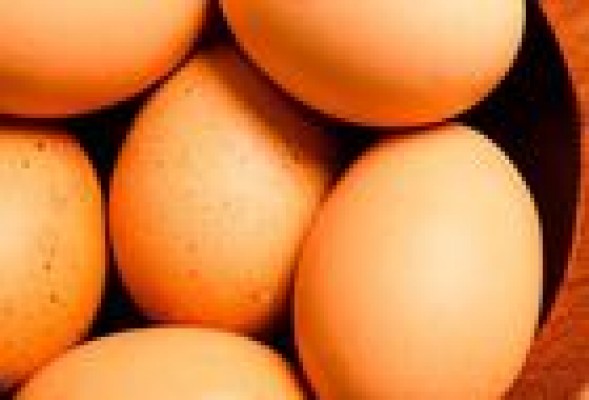 Huevos Guillén reduce un 6% su facturación aunque sube beneficios