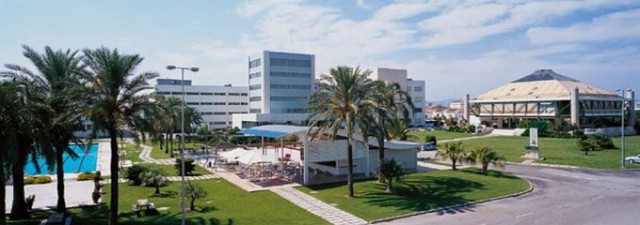 Lladró busca financiación bancaria para crecer y aumentar sus ventas