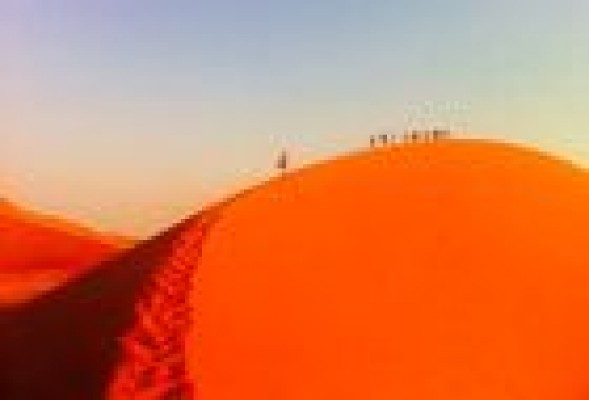 Viajando por la vida: <br /> Del Cairo al Cabo