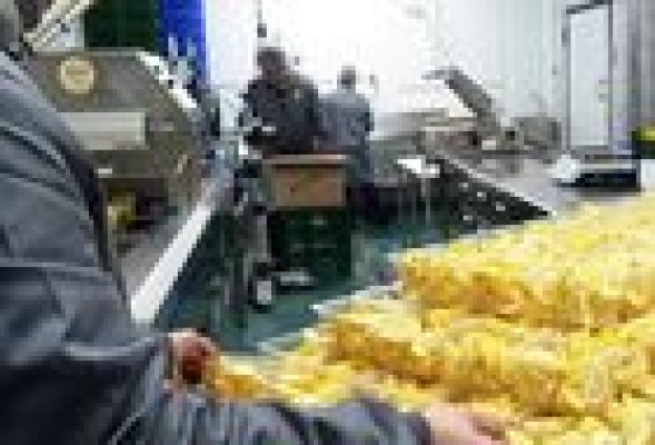 Lemon & Co abre fábrica en Torrent y prevé una nueva planta en Turquía