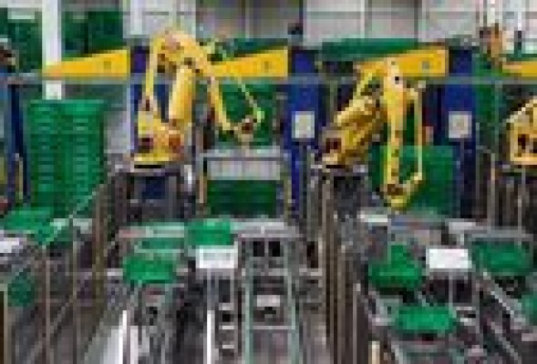 Logifruit facturó 81 millones de euros y creció un 30% en 2014
