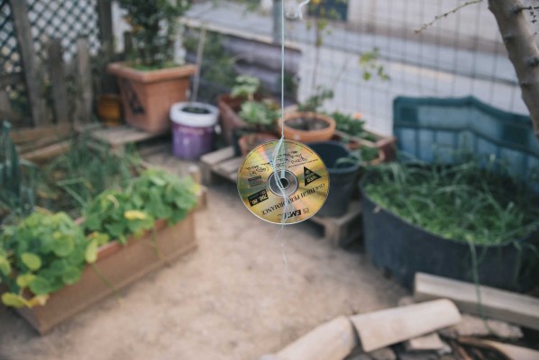 Debajo del cemento está la huerta