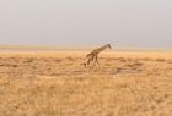 #CRÓNICASDEÁFRICA Memorias de África