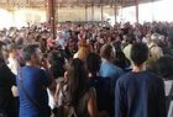Cuatro candidaturas agrupadas y 40 aspirantes a senador por Podemos