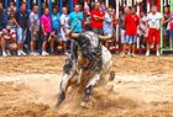 Un hombre fallece tras sufrir una cogida de toro en el Grao de Castellón