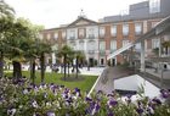 Acciona se adjudica el suministro eléctrico al Museo Thyssen-Bornemisza