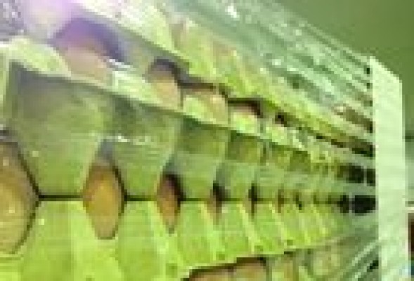 Crisis avícola en EEUU: Las granjas valencianas envían 18 millones de huevos en un mes