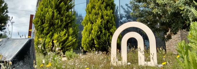 El concurso de acreedores de Aidico arrastra a la Fundación Aidico Formación