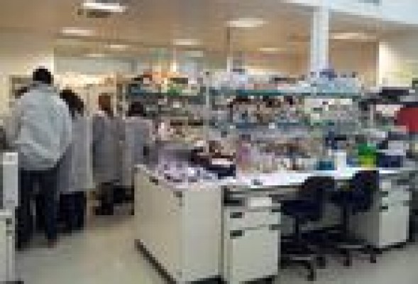 Neol Bio, filial de Neuron, cotizará en el MAB después del verano