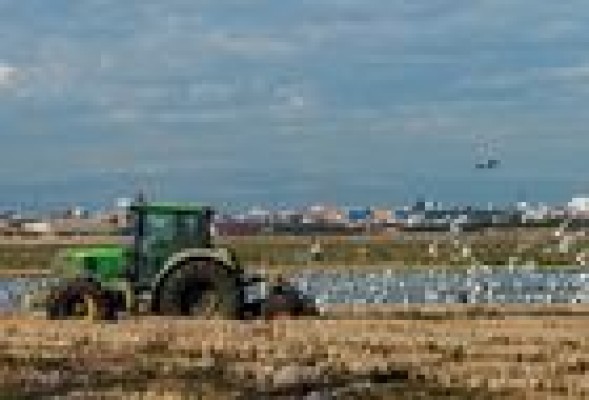 L'Albufera: Agua, barro y regeneración