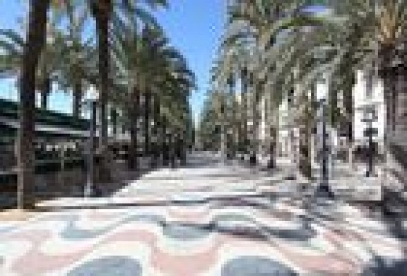 Alicante inicia los trámites para pedir al Consell que suprima su zona de gran afluencia turística