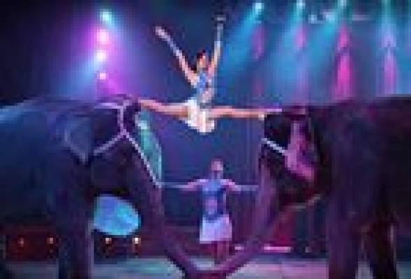 El Gran Circo Mundial abandona Valencia tras 41 años por el veto a los animales 