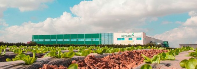 Agromark, proveedor de Mercadona, duplica sus beneficios hasta el medio millón de euros