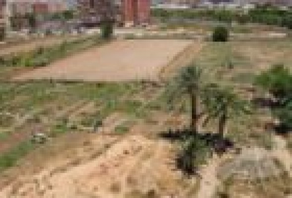 El barri de Benimaclet proposa un nou urbanisme amb l'horta