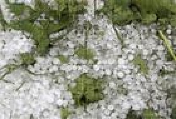 Grupo Cajamar sale en defensa de los agricultores valencianos