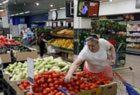 El campo valenciano pierde 70 millones tras un año de veto ruso