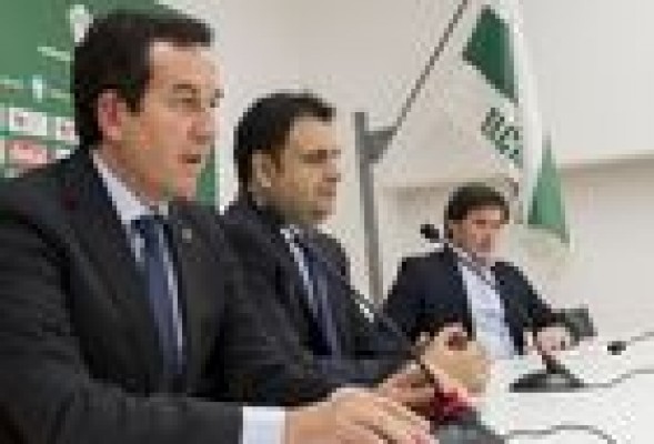 El Elche entra en concurso voluntario de acreedores